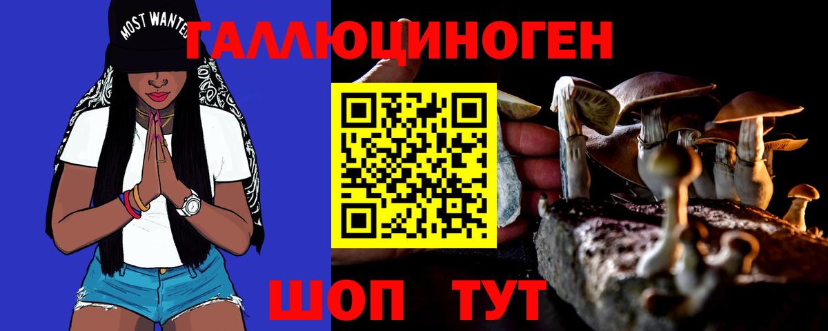 как найти   Галлюциногенные грибы Cubensis  Вход с VPN  Заволжье 